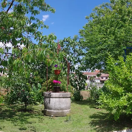 Elena, Village *