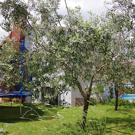 Elena, Village